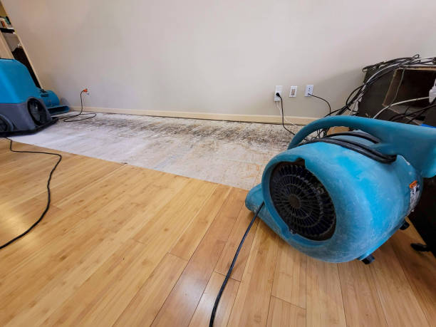 Professional Sewage Cleanup technician working in Abrams, WI